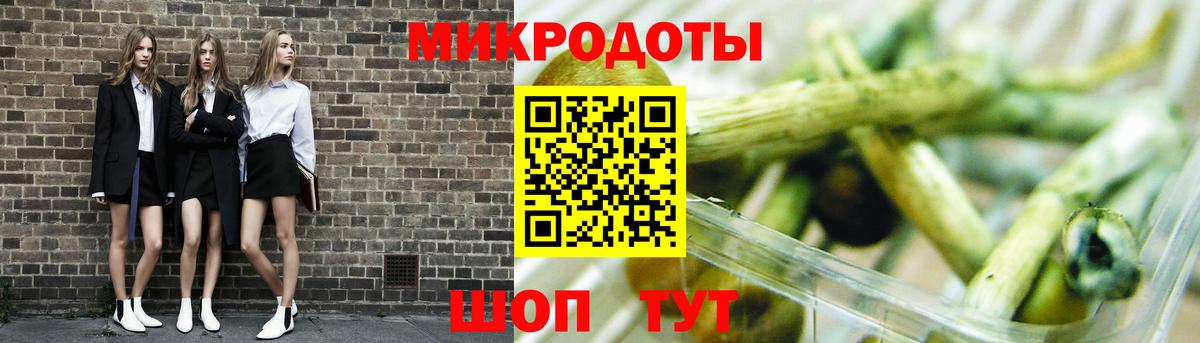 Черняховск  Псилоцибиновые грибы MAGIC MUSHROOMS  Галлюциногенные грибы прущие грибы  продажа наркотиков  Вход с VPN 